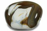 Colorful, Polished Carnelian Agate Palm Stone - Madagascar #256369-1